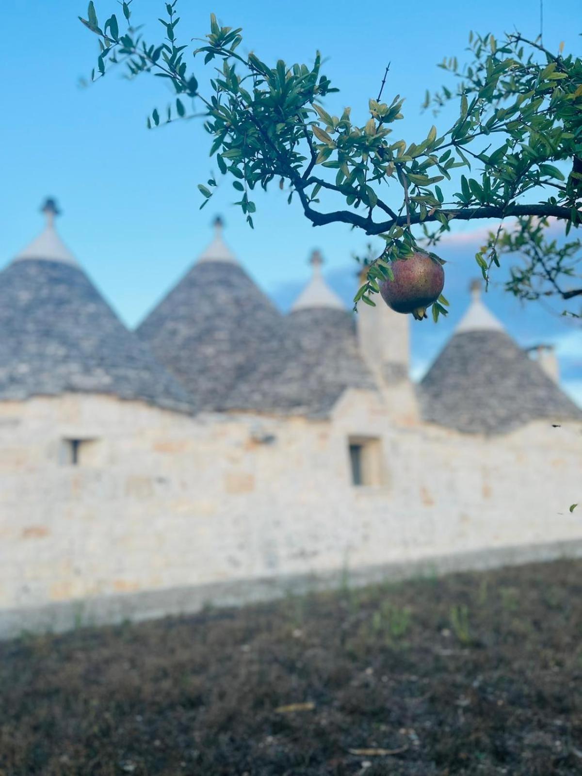 ホテル Scardino Trulli ロコロトンド エクステリア 写真